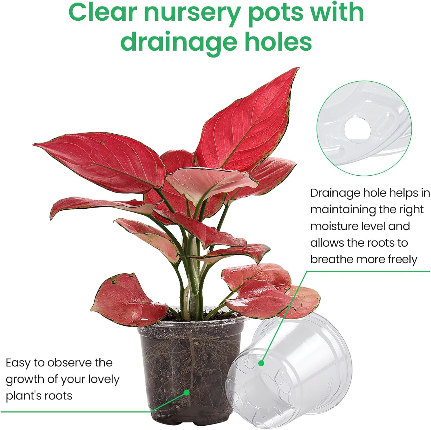 36 Packs 5/4/3.5 Inch Reinforced Clear Nursery Pots with Drainage Hole, Transparent Variety Pack Plastic Plant Pot Seedling Planter Seed Starter Flower - Image 3