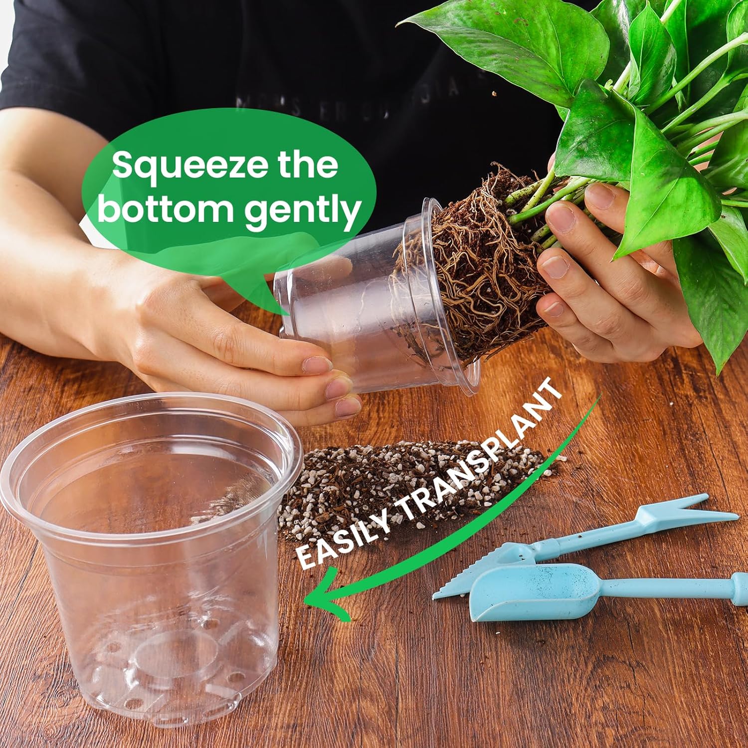 36 Packs 5/4/3.5 Inch Reinforced Clear Nursery Pots with Drainage Hole, Transparent Variety Pack Plastic Plant Pot Seedling Planter Seed Starter Flower - Image 5