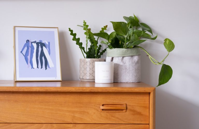 Elevate Your Space: Budget-Friendly Home Decor Products