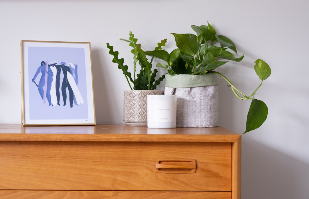 Elevate Your Space: Budget-Friendly Home Decor Products Elevate Your Space: Budget-Friendly Home Decor Products